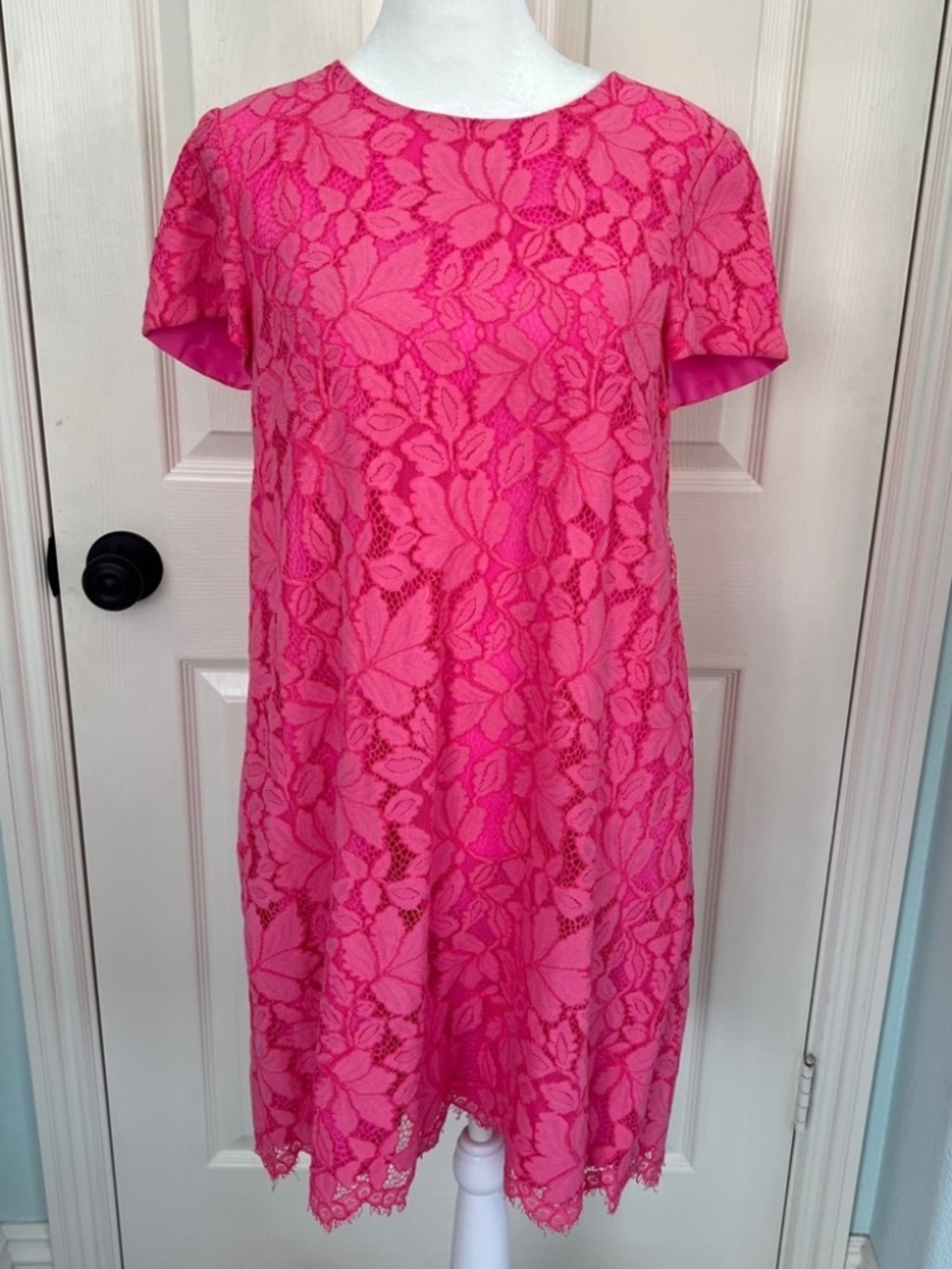 NWT CeCe Fuchsia Floral Lace Shift Dress 6